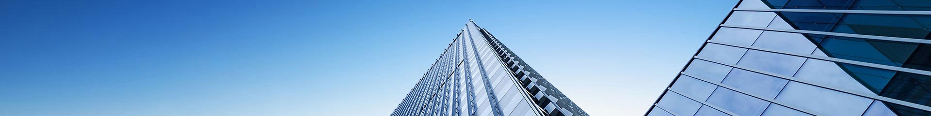 青岛金农港国际供应链有限公司